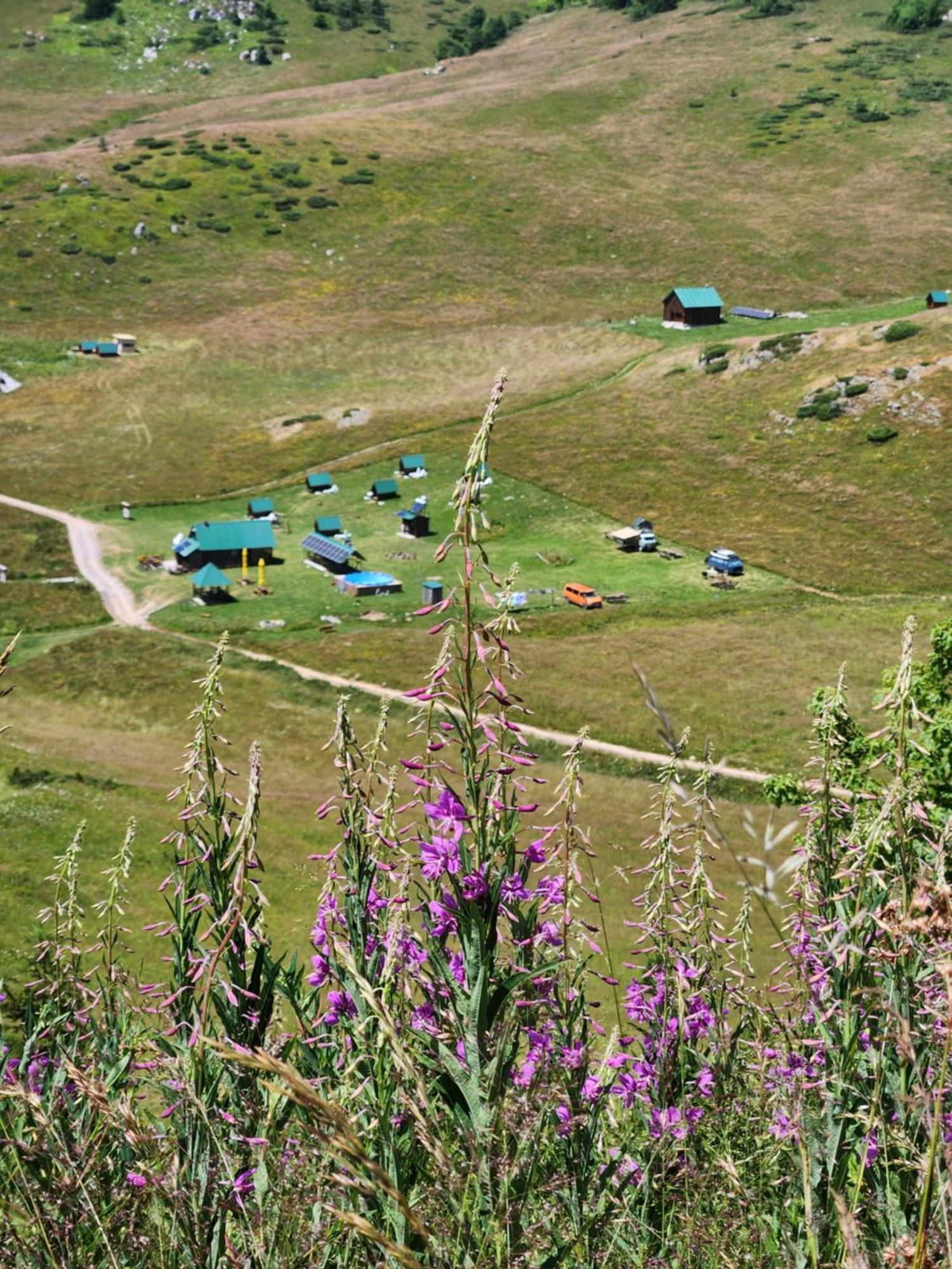 Rural Household Janketic Kolašin Exterior foto