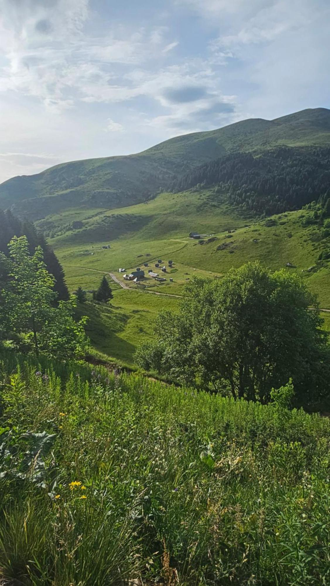 Rural Household Janketic Kolašin Exterior foto